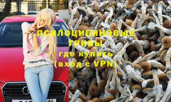 ешки Алексин