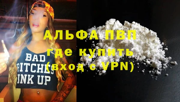 крисы Алзамай